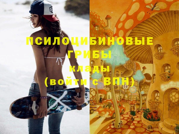 гашик Киреевск