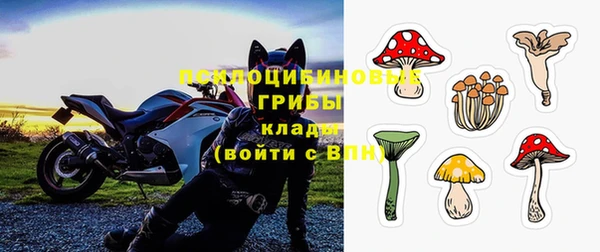 гашик Киреевск