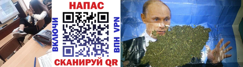 Конопля SATIVA & INDICA  Купить закладки  Каневская 